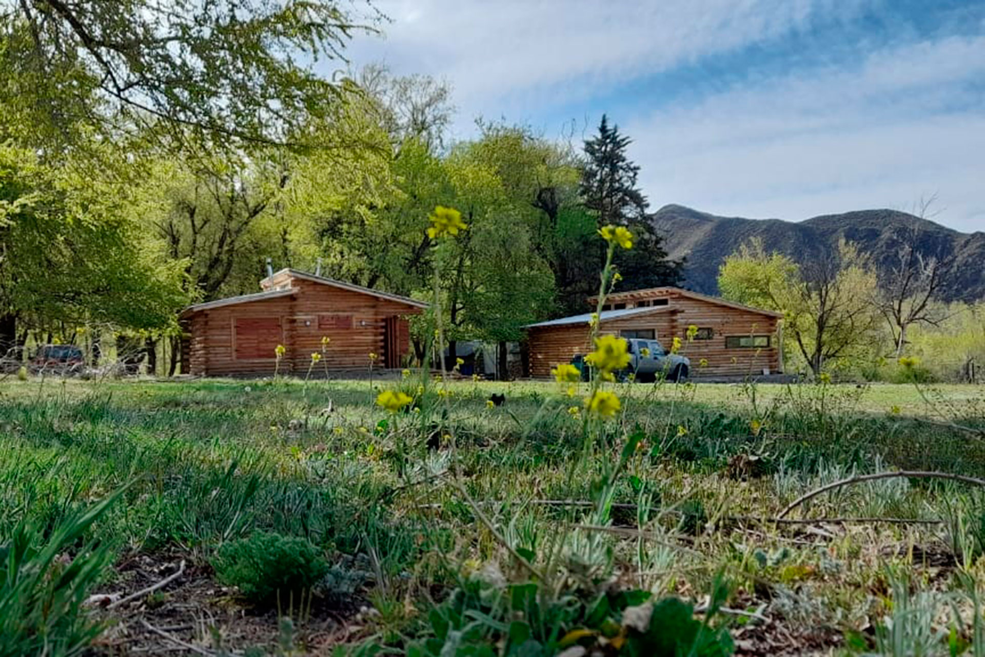 Slide Background Image